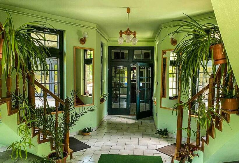 Bed and Breakfast Mathias Ház