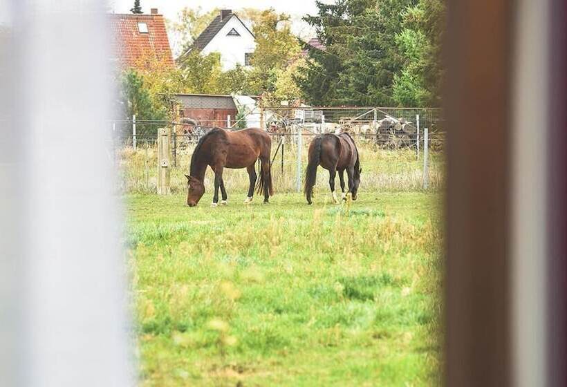 ベッドアンドブレックファースト Prima Inn Hotel & Hof Neuruppin   Digitales & Rezeptionsloses Motel