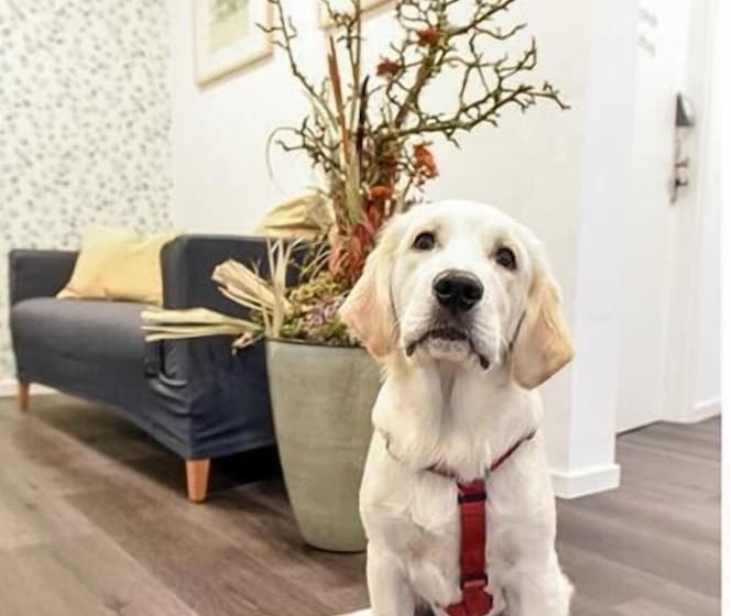 ベッドアンドブレックファースト Prima Inn Hotel & Hof Neuruppin   Digitales & Rezeptionsloses Motel