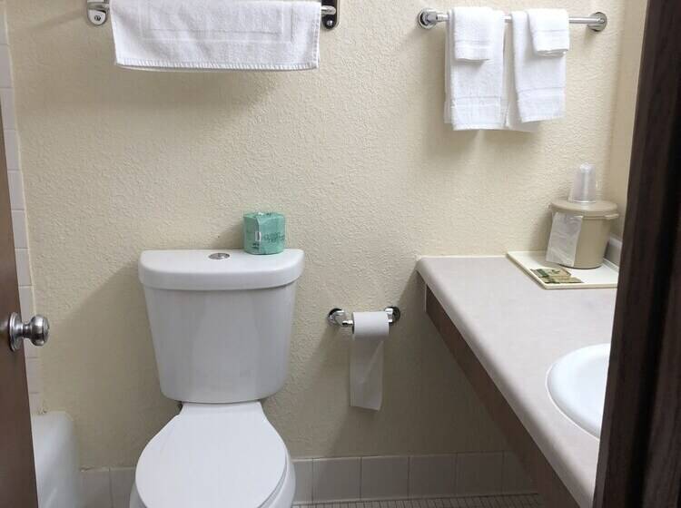 هتل Amerivu Inn & Suites