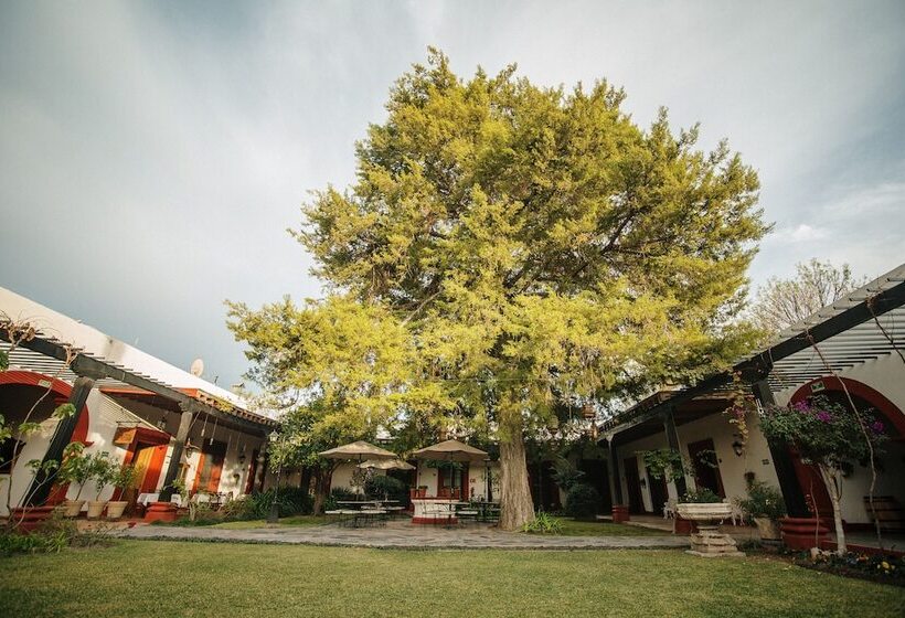 בית מלון כפרי El Farol