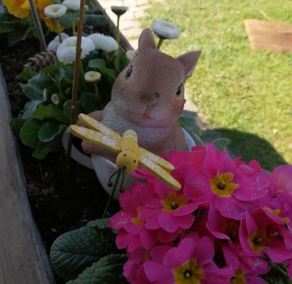 בית מלון כפרי Ferienhof Unterkotgraben