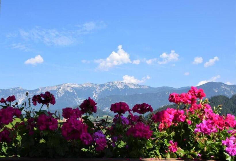 בית מלון כפרי Ferienhof Unterkotgraben