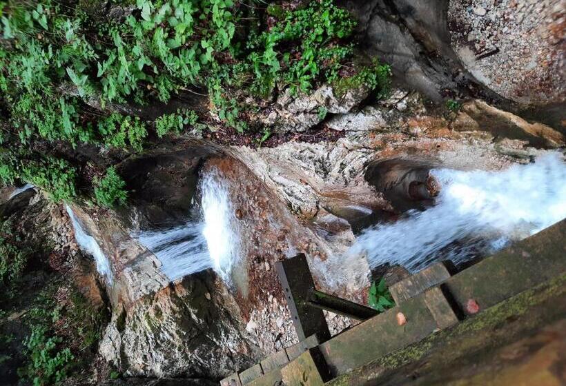 בית מלון כפרי Ferienhof Unterkotgraben