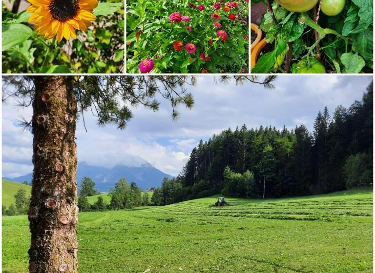 בית מלון כפרי Ferienhof Unterkotgraben