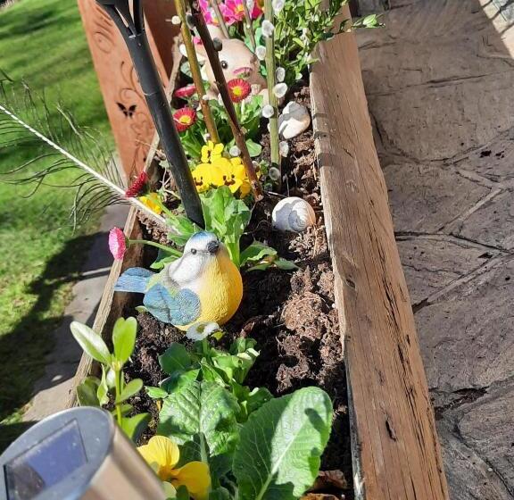 בית מלון כפרי Ferienhof Unterkotgraben