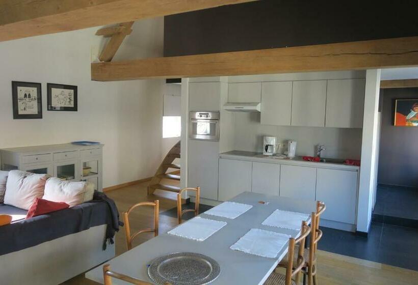 Пансион B&b / Studio De Druivelaar In Hartje Kluisbergen