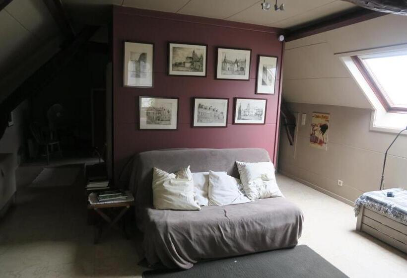 Пансион B&b / Studio De Druivelaar In Hartje Kluisbergen