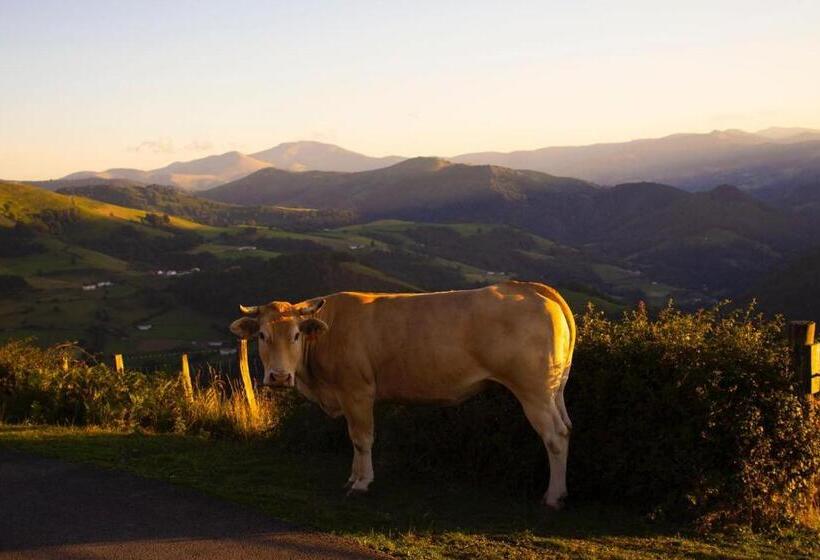 بنسيون Maison Graciateguy