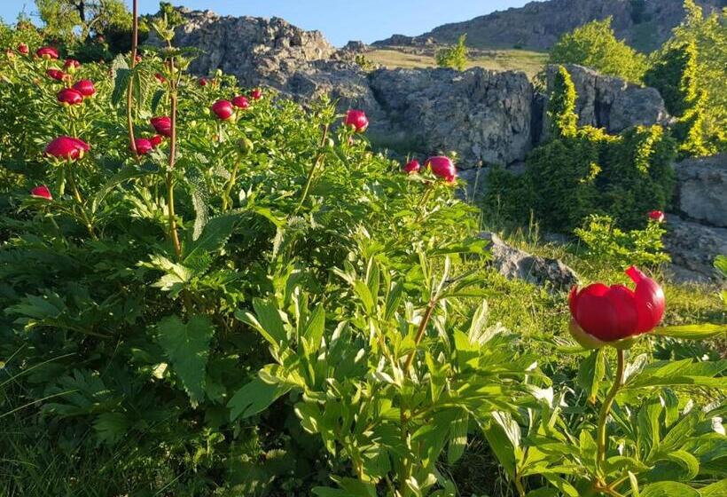 Pensiunea Agroturistică Angheliki