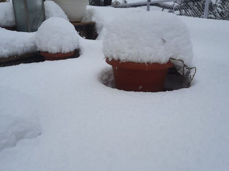 אתר נופש Justa Mukteshwar Retreat & Spa