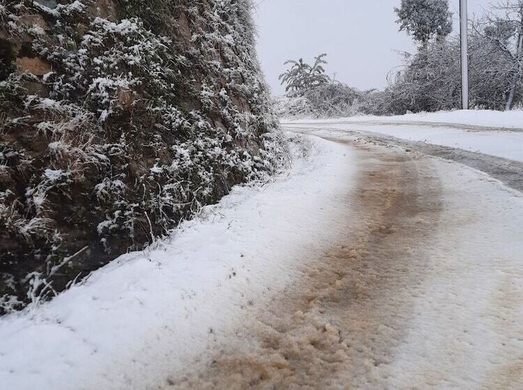 אתר נופש Justa Mukteshwar Retreat & Spa