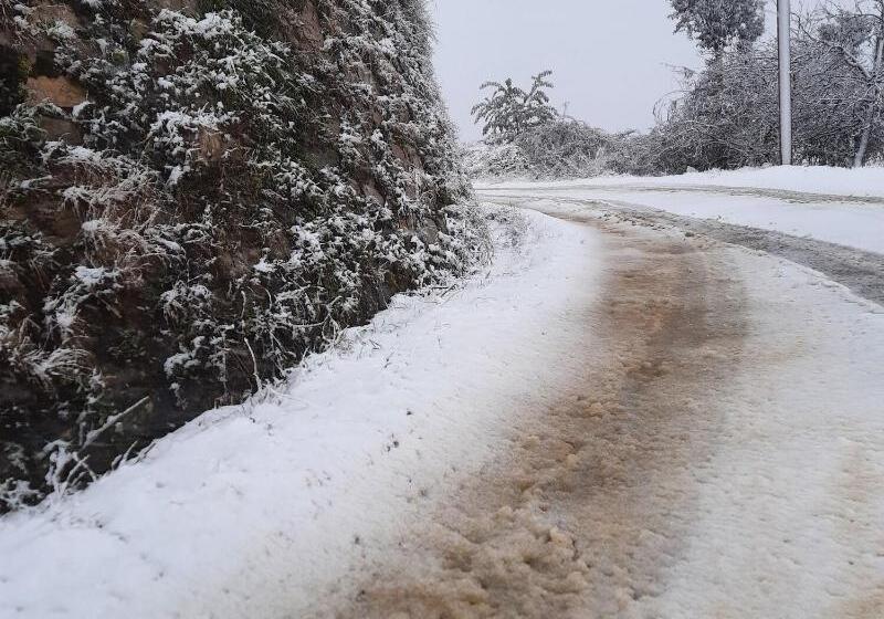 אתר נופש Justa Mukteshwar Retreat & Spa