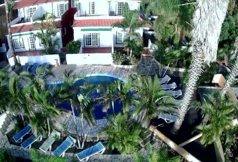 Apartamentos Colon Y Bungalows