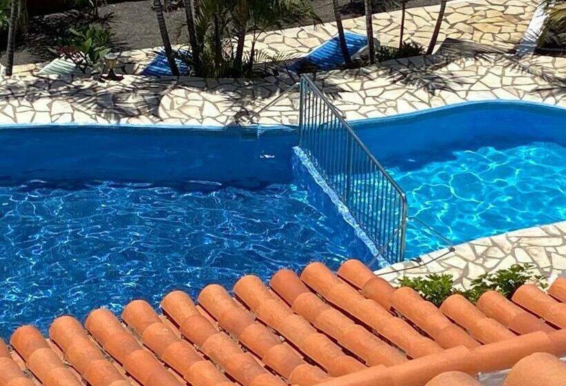 Apartamentos Colon Y Bungalows