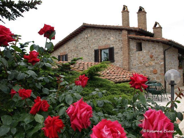 هتل Agriturismo Podere 3 Querce