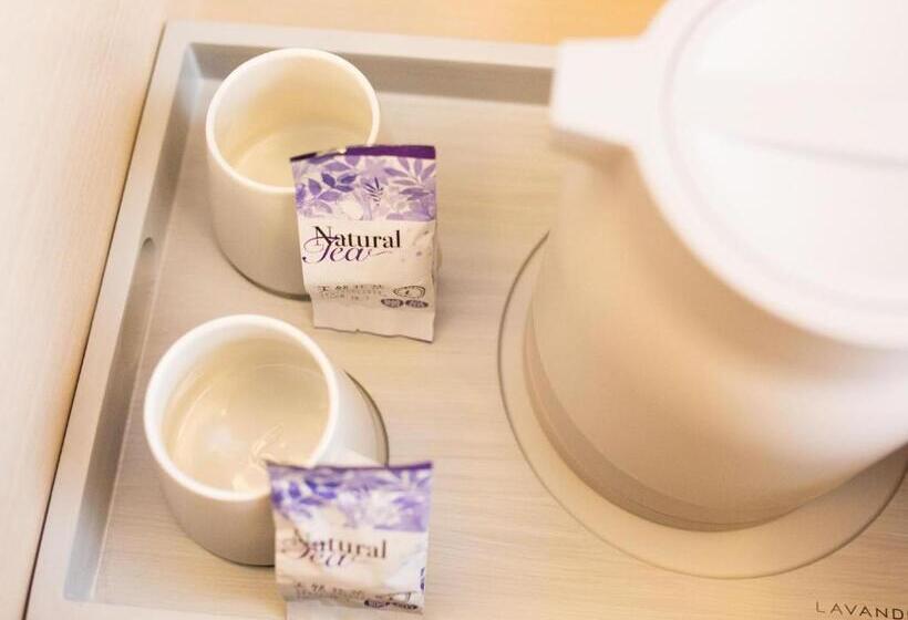 בית מלון כפרי Lavande