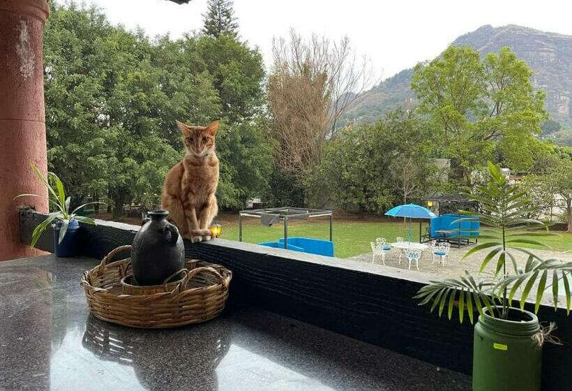 Отель Los Cruxes Sam Paz