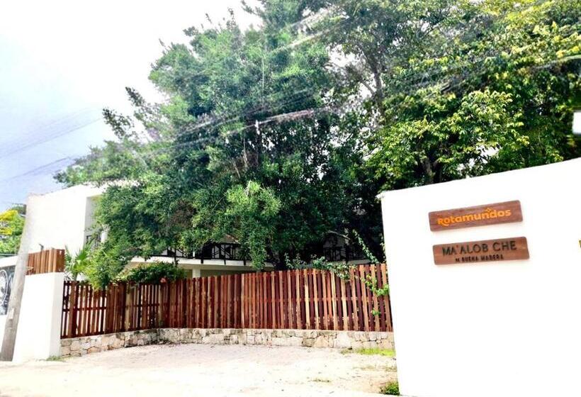 فندق Maalob Che Bacalar By Rotamundos