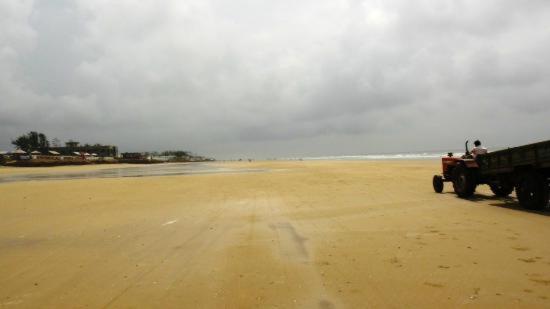 Отель Resort Hirak Jayanti