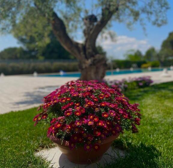 فندق Salapia Salis Resort