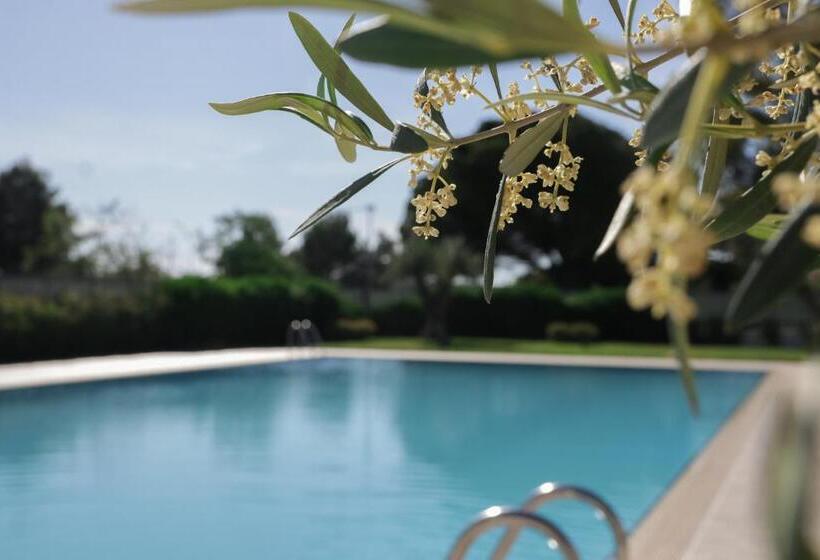 فندق Salapia Salis Resort