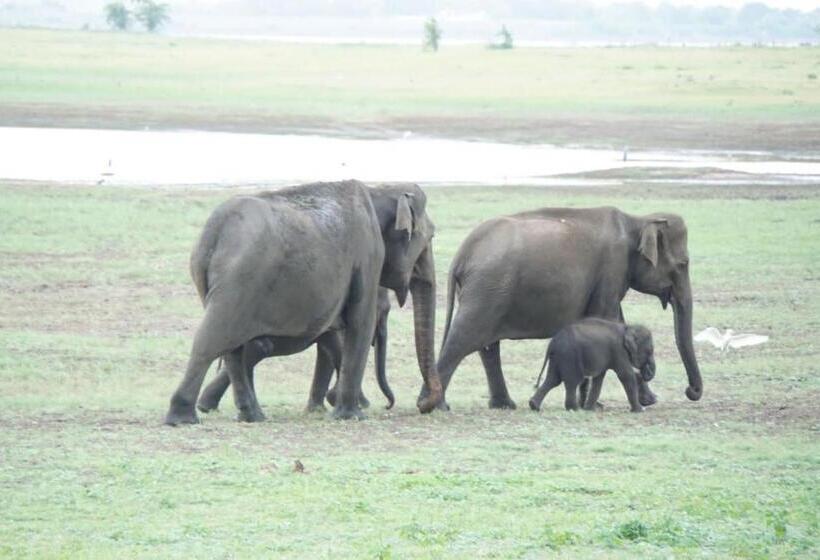 בית מלון כפרי Sethway Village