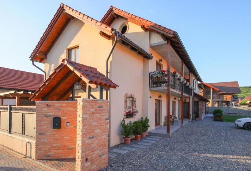 Пансион Ama Guest House