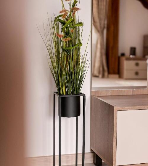 Пансион Casa Isabela