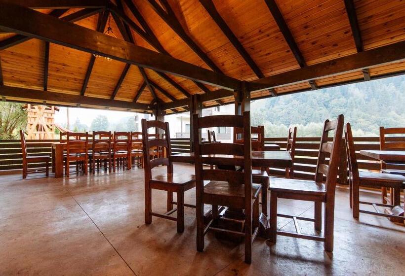 פנסיון Comoara Rarăului