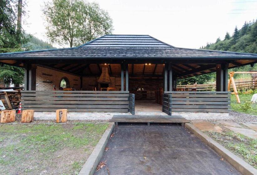 פנסיון Comoara Rarăului