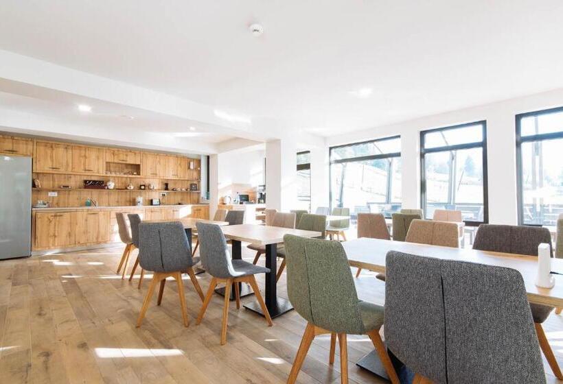 פנסיון Comoara Rarăului