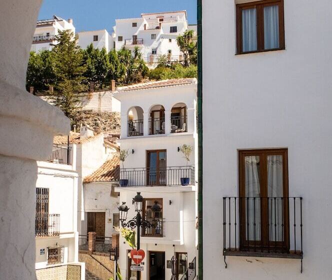 פנסיון Olive & Ivy Guest House