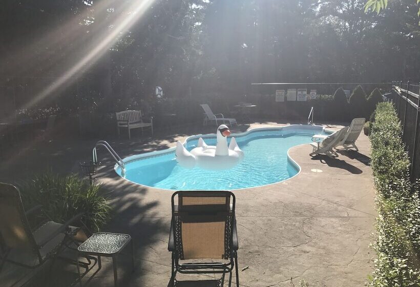 بنسيون The Rugosa Guest House