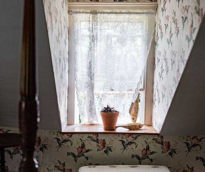 بنسيون The Rugosa Guest House