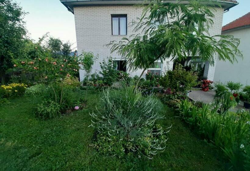 پانسیون Sobe Ozrenka