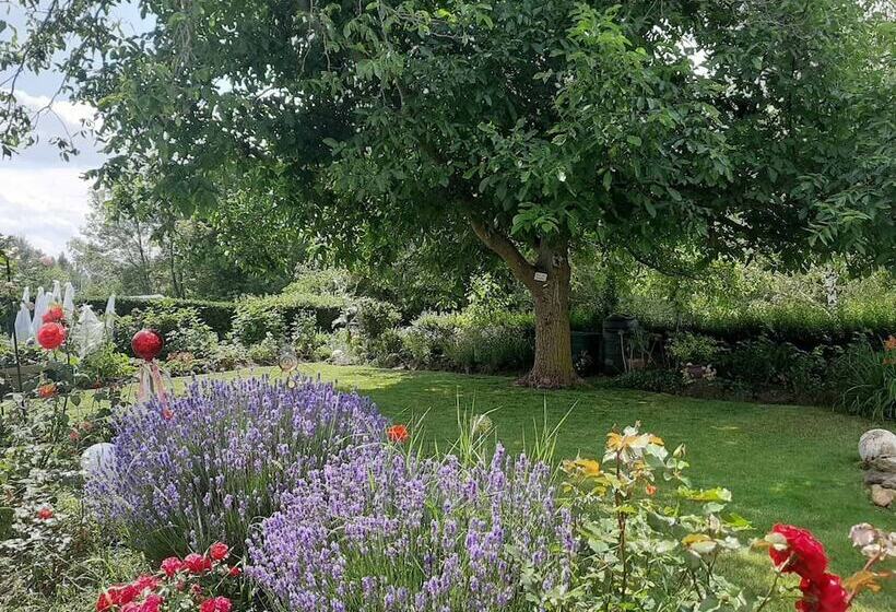 호스텔 Gästehaus Edelmann