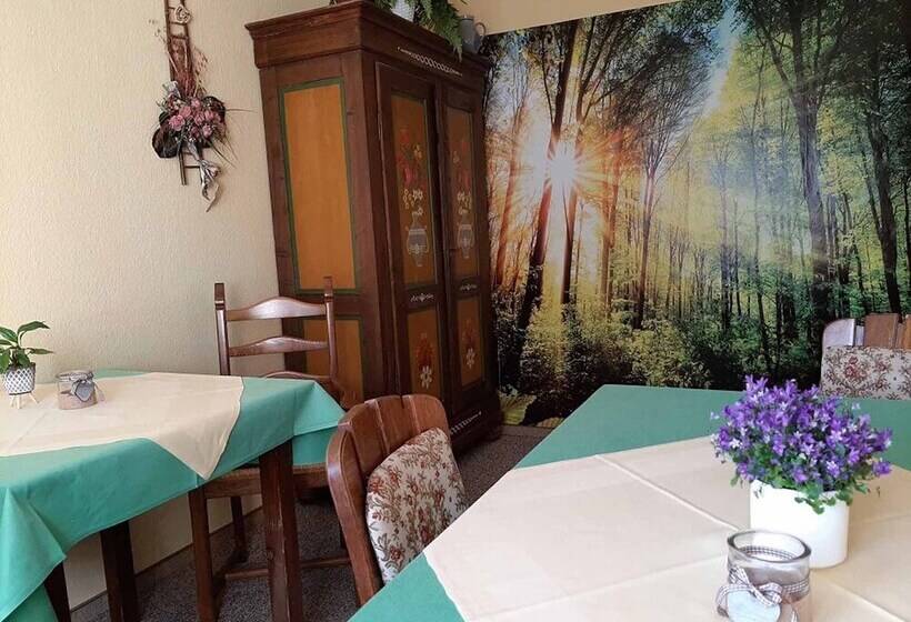 호스텔 Gästehaus Edelmann