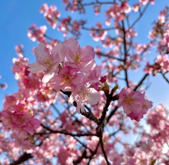 הוסטל Guesthouse All You Need