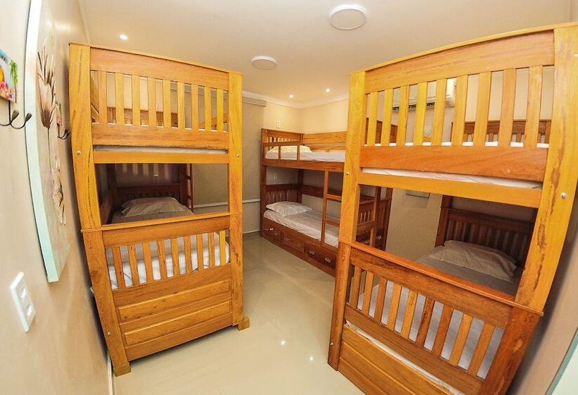 Arenna 7 Hostel & Studios