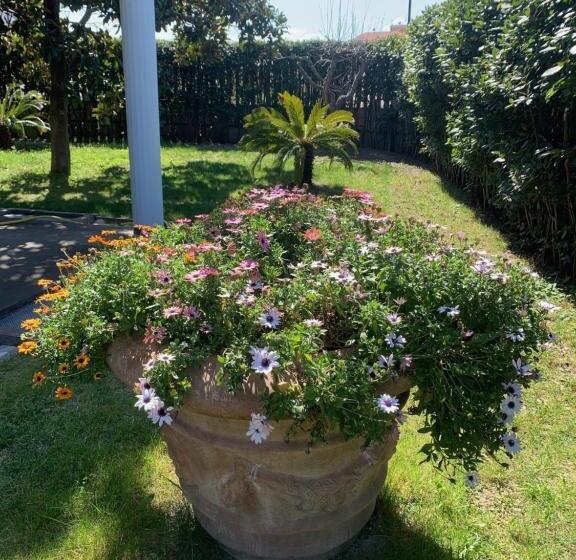 B & B Villa Fiorella