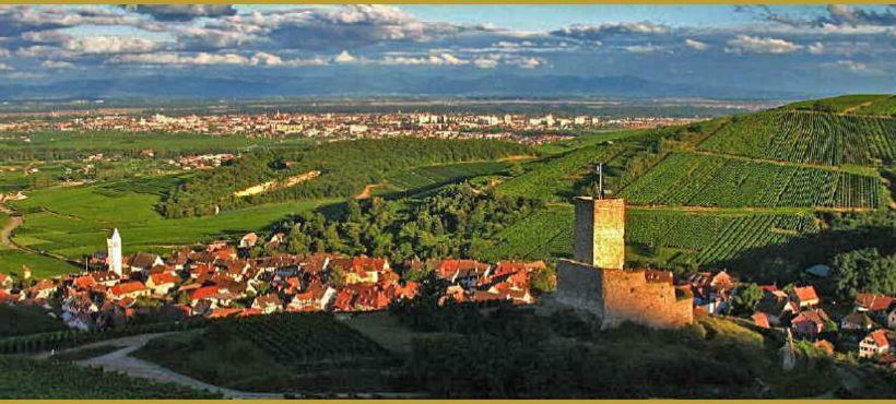 Bed and Breakfast Gîte Et Chambres D'hôtes Les Framboises