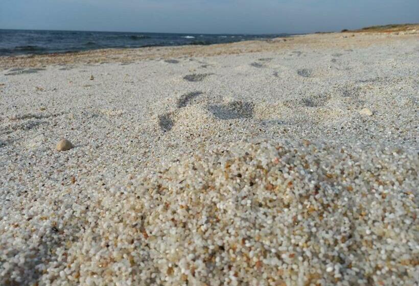 Bed & Breakfast Paui