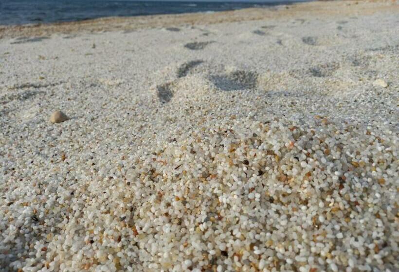 Bed & Breakfast Paui