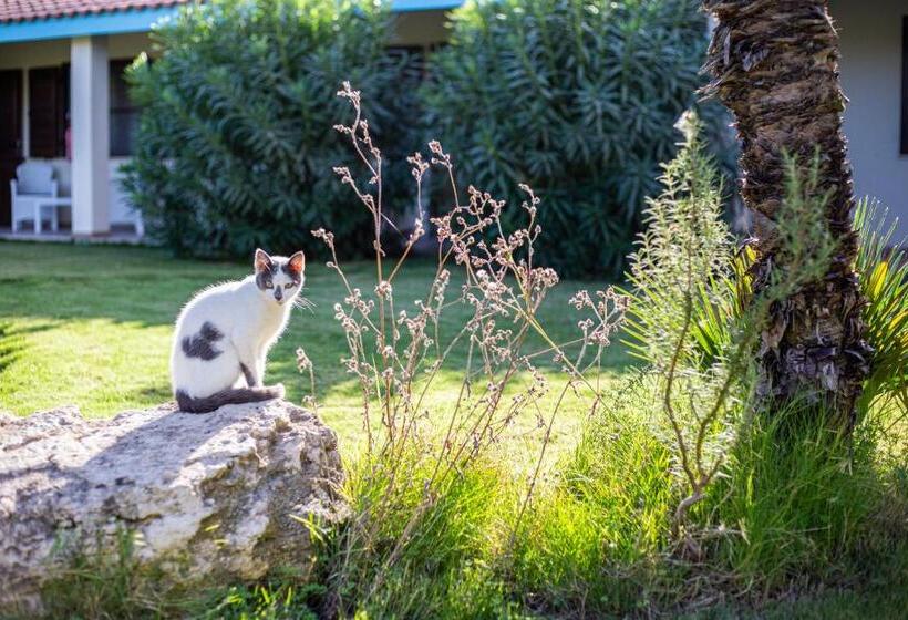 Отель Agriturismo Is Cortillaris