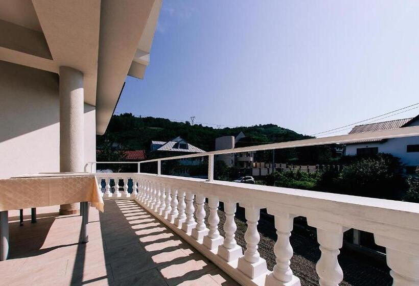 ホテル Agropensiunea Ozon