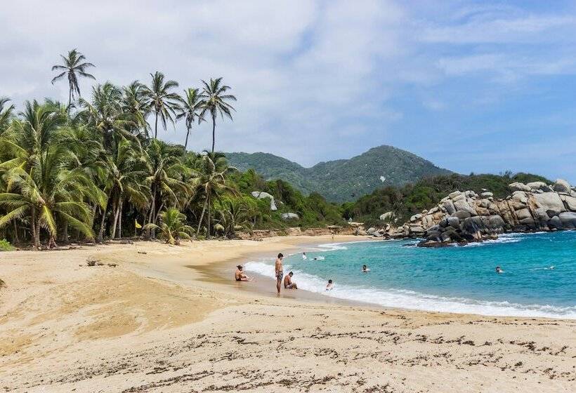 בית מלון כפרי Arte