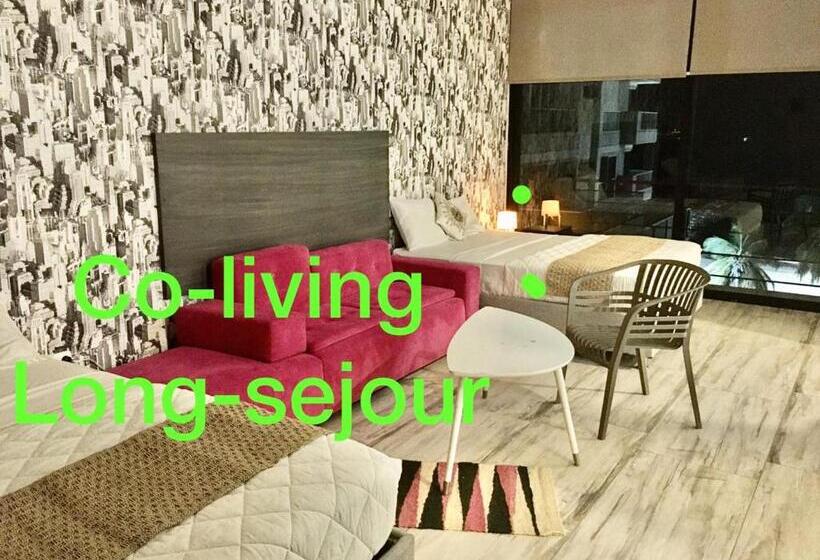 בית מלון כפרי Arte