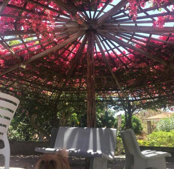 酒店 Fazenda Alvorada