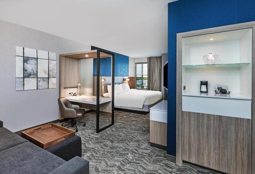 호텔 Springhill Suites By Marriott Austin West/lakeway